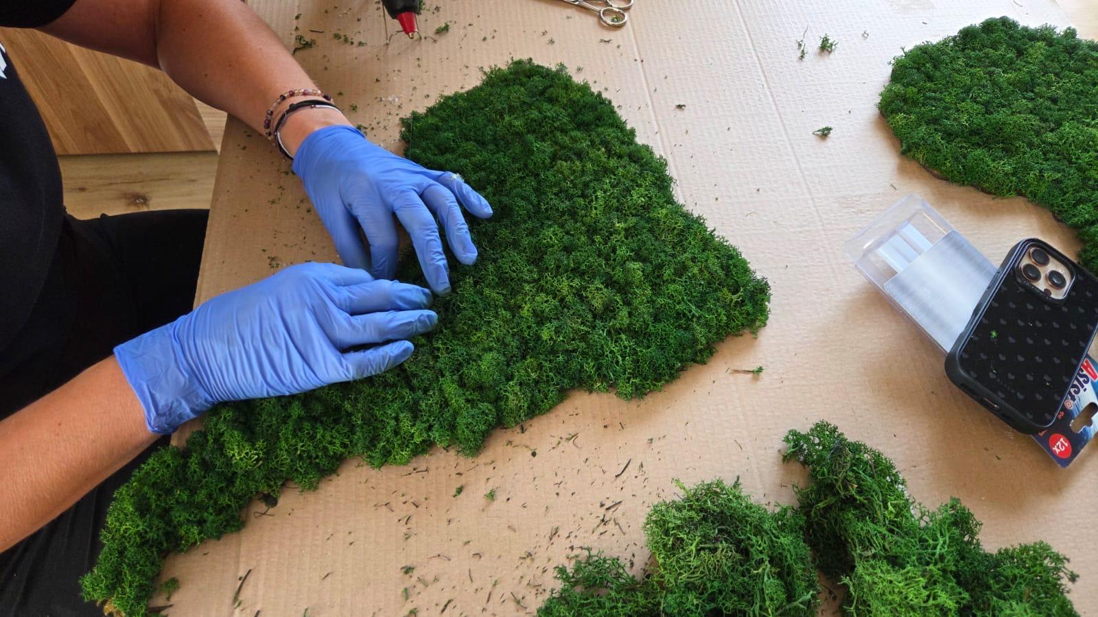 WhatsApp Image 2025-10-29 0